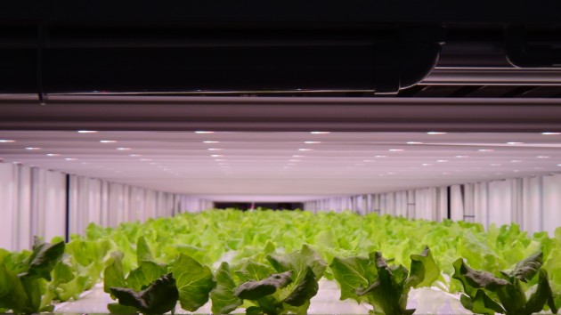 【新聞圖片】飛利浦GreenPower LED助力日本Prime Delica生產(chǎn)更健康、安全的作物，滿足7-Eleven顧客所需01